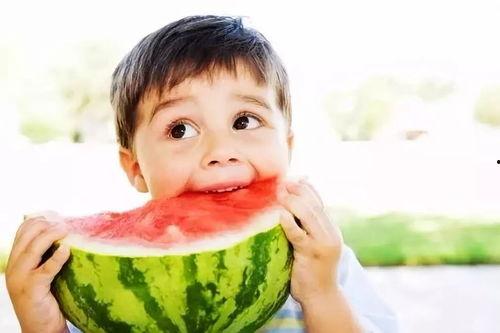 娱乐吃瓜君西北话