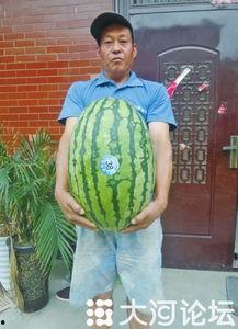 吃瓜网每日大赛 反差大赛51,反差萌十足！吃瓜网每日大赛51反差大赛精彩瞬间大盘点